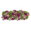 Assorted Sedum and Roses in Fiberstone Planter-844902034-844902045