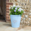 Dinardo Pot Planter-1955219779-1955219776