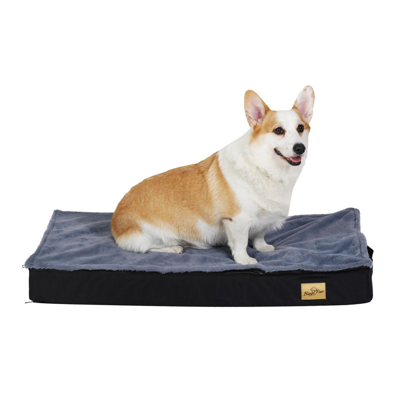 Orthopedic Pet Bed, 8cm H x 78cm W x 48cm D
