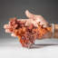 Copper Crystal Cluster from Chengmenshan Mine, Jiangxi Province, China