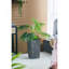 Jardinière en ciment 9,4 po x 9,4 po x 18,1 po-2114707696