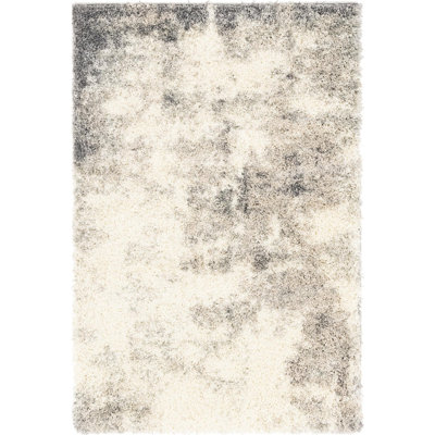 Indoor Rug