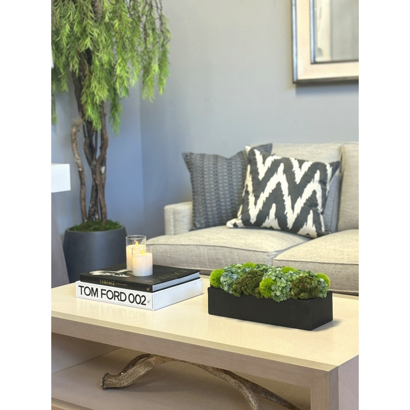 Rizal 7'' Faux Succulent Plant in Fiberstone Pot, Black