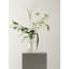 Bloom Table Vase