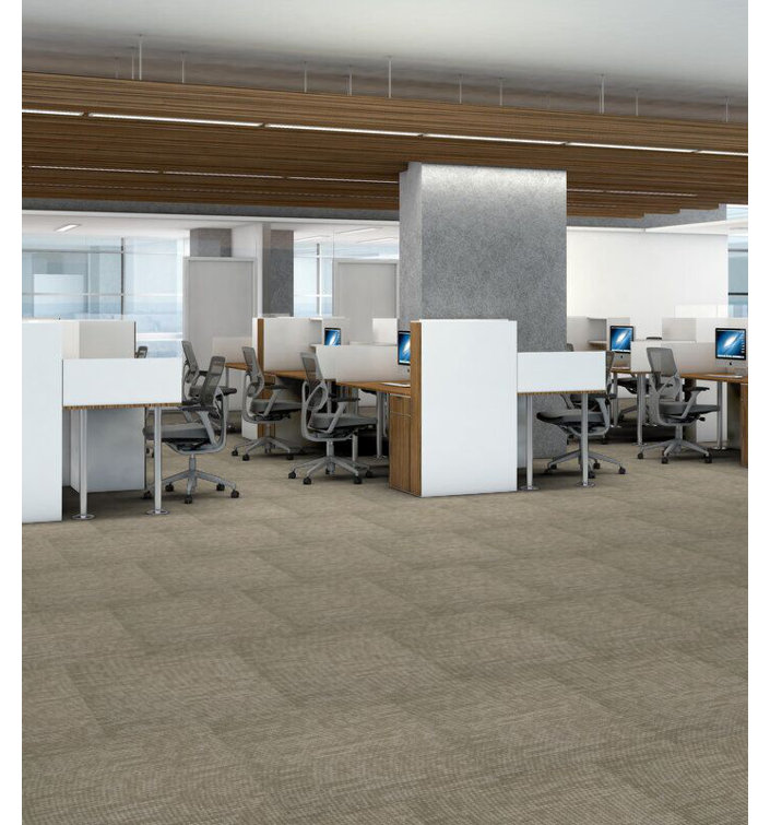Apollo 24-in x 24-in Multi-Level Loop Adhesive Carpet Tile (48-sq ft)