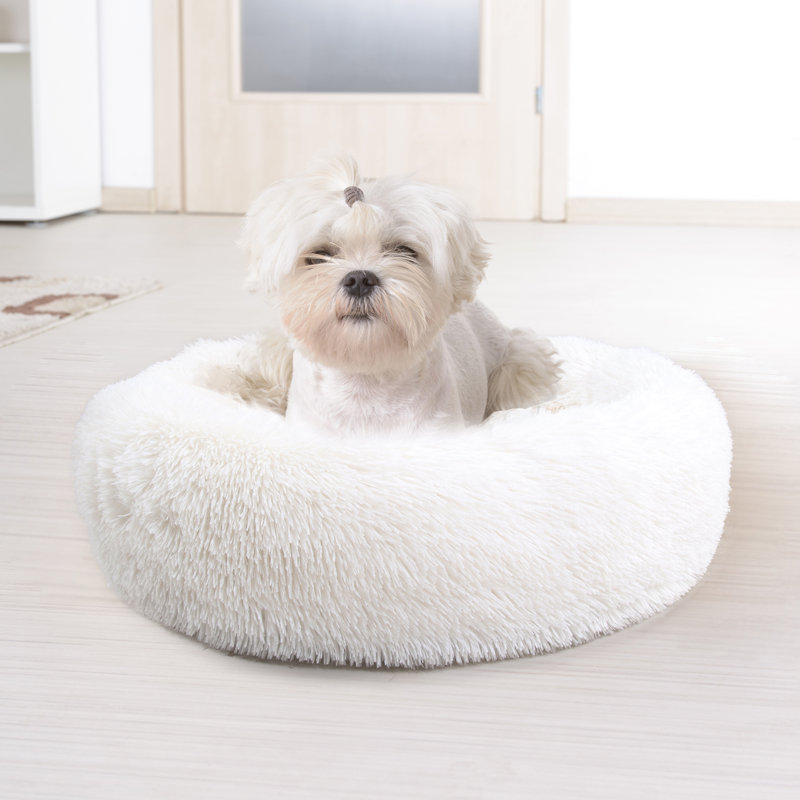 Tapis pour chien doux et rond, H 6 po x l 23 po x P 23 po, Blanc