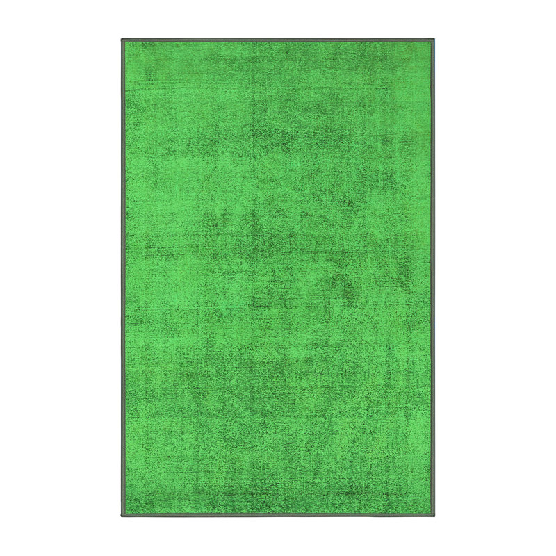 Elica Washable Indoor Rug, Runner 2' x 5'