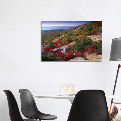 Atlantic Coast From Cadillac Mountain, Acadia National Park by Tim Fitzharris - Wrapped Canvas Print