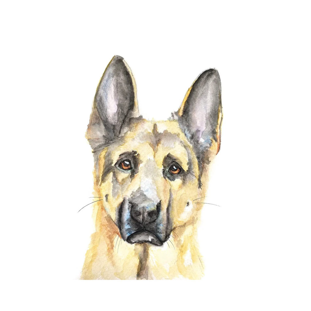 German Shepherd - Wrapped Canvas Painting