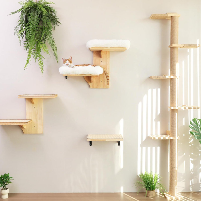 Étagères murales pour chat, 2 murs de chats avec plateforme, tablette flottante pour chaton en forme d'arbre avec perchoir à coussin souple, bois d'hévéa massif pour cloison sèche de 16 pouces, convient pour grimper, jouer, faire une sieste