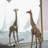 Iron Frame Vertical Rectangle Mirror