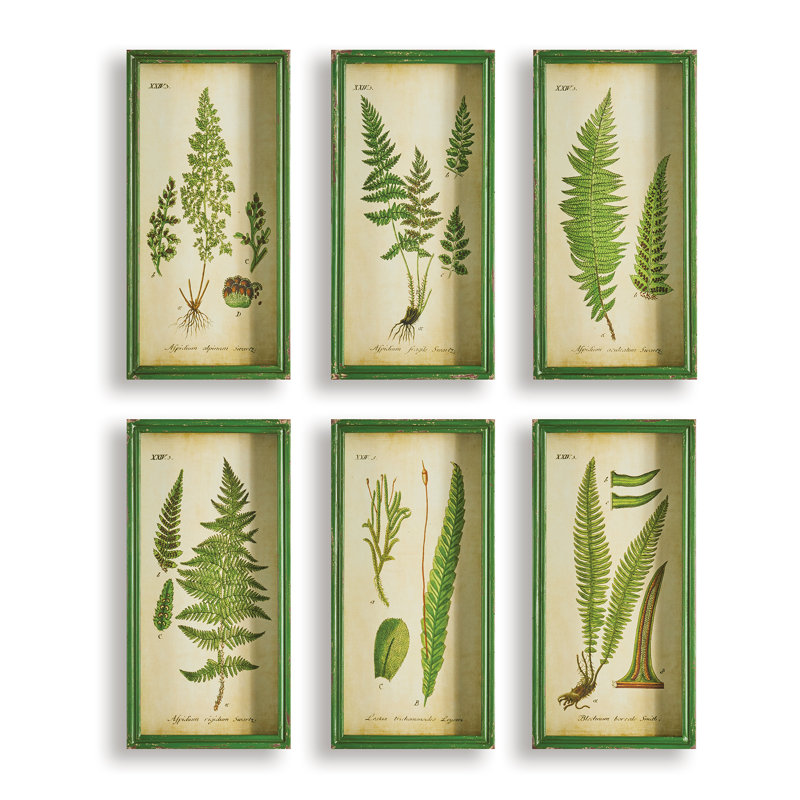 «Fern Prints» de Sannois - Ensemble de 6 reproductions de cadres photo