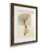 Papier, cadre noyer