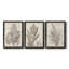 «Sepia Exotic Plants I», ensemble de 3 peintures sur toile encadrées-2017768721-2017768720