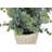 Mcclain 12.5'' Faux Eucalyptus Plant in Cement Pot-528315747
