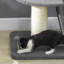 92cm H Cat Tree
