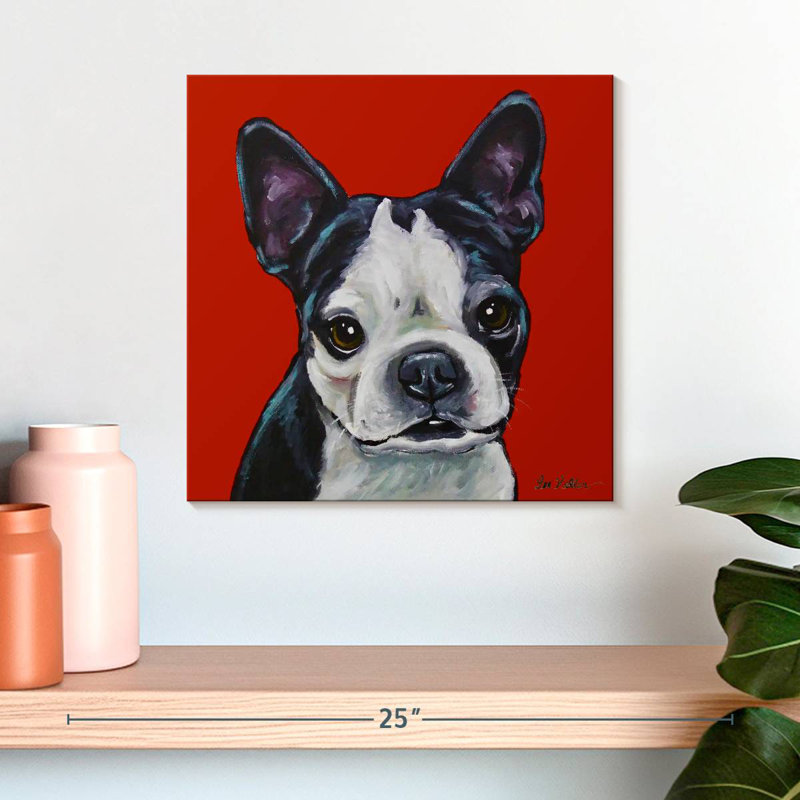 Sophie Boston Terrier On Red