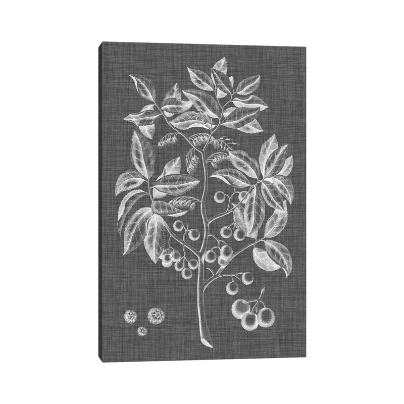 Graphic Foliage VI by Vision Studio - Wrapped Canvas Print, 20.32 cm H x 30.48 cm W