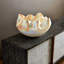Cambrian Bowl-19389920