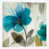 Toile tendue