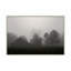 Overcast Day On The Farm 1 Print by Studio L57 Affinity-851845891