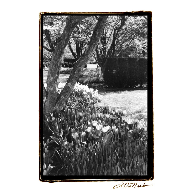 Springtime Garden IV - Wrapped Canvas Print, 46cm H x 30cm W x 3.8cm D