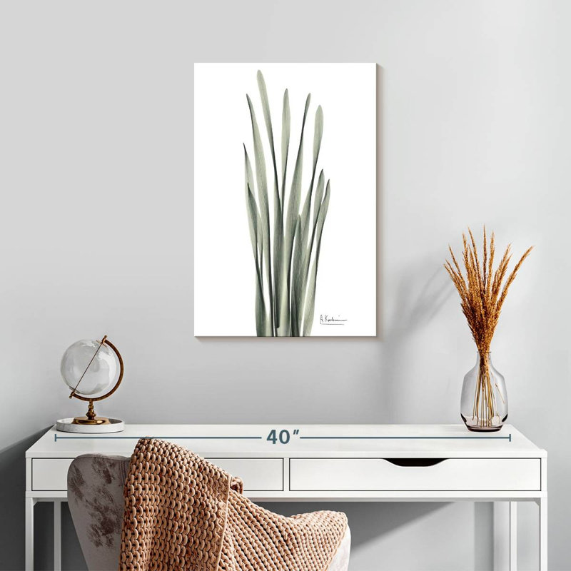 Harnek Hyacinth Leaf, 24" H x 16" W