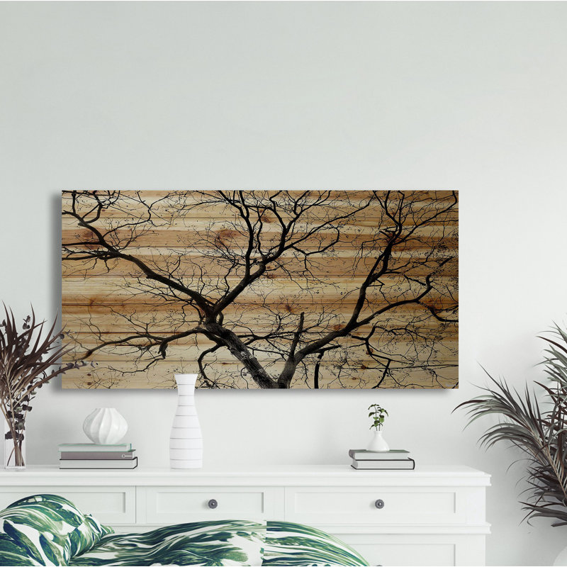 «Branching Out» par Parvez Taj - Photographie sans cadre sur bois, H 20 po x l 40 po x P 1,5 po