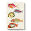 East Indies Fish Illustrations Fol. 21 by Louis Renard - Wrapped Canvas-55342663