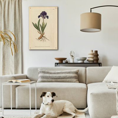 Art mural en verre acrylique épique «Dwarf Iris» par Art Licensing Studio, 24 po x 36 po