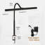 Humzah Adjustable Metal Desk Lamp-564131170