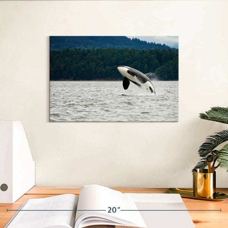 Crowle Orca Jumping, 8" H x 12" W