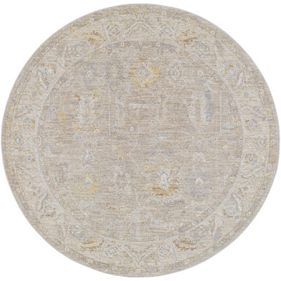 Oriental Indoor Rug