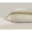 Coussin 100% coton-122223659-122223657