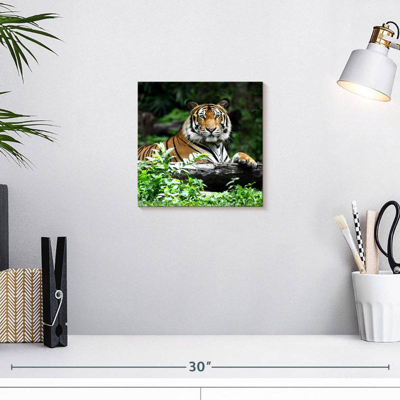 Brampt Resting Bengal Tiger, 10" H x 10" W