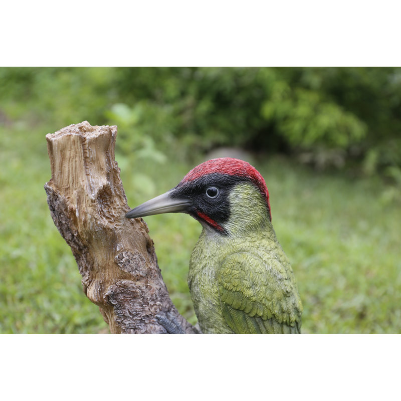 Statue woodpecker on souches