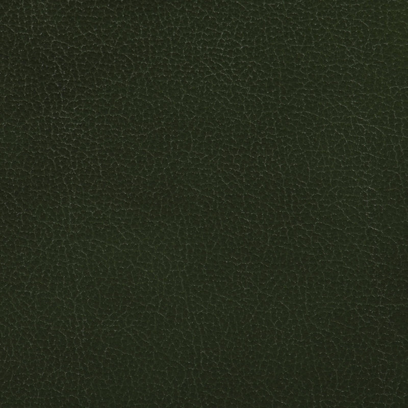 Tamico Genuine Leather Sofa, Green, 4