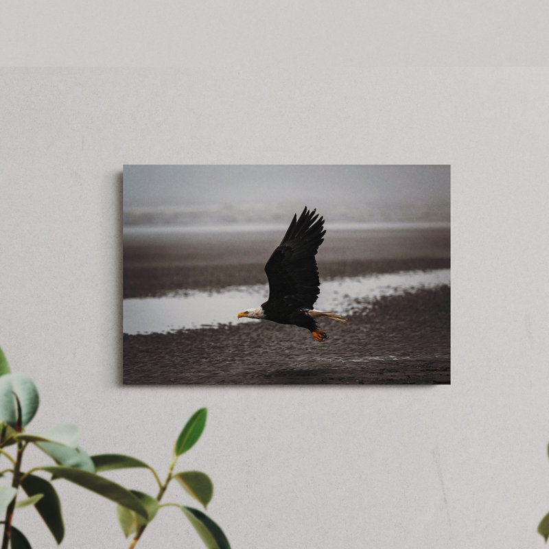 Eagle on a Beach, 12" H x 18" W
