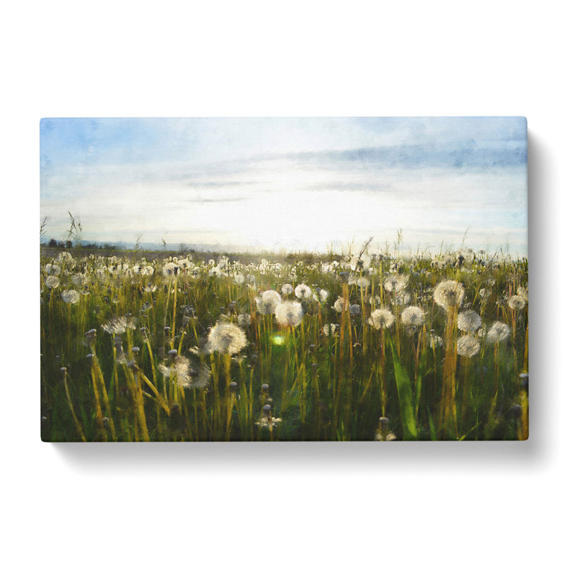 Dandelion Field - Wrapped Canvas Print, 35cm H x 50cm W x 3cm D