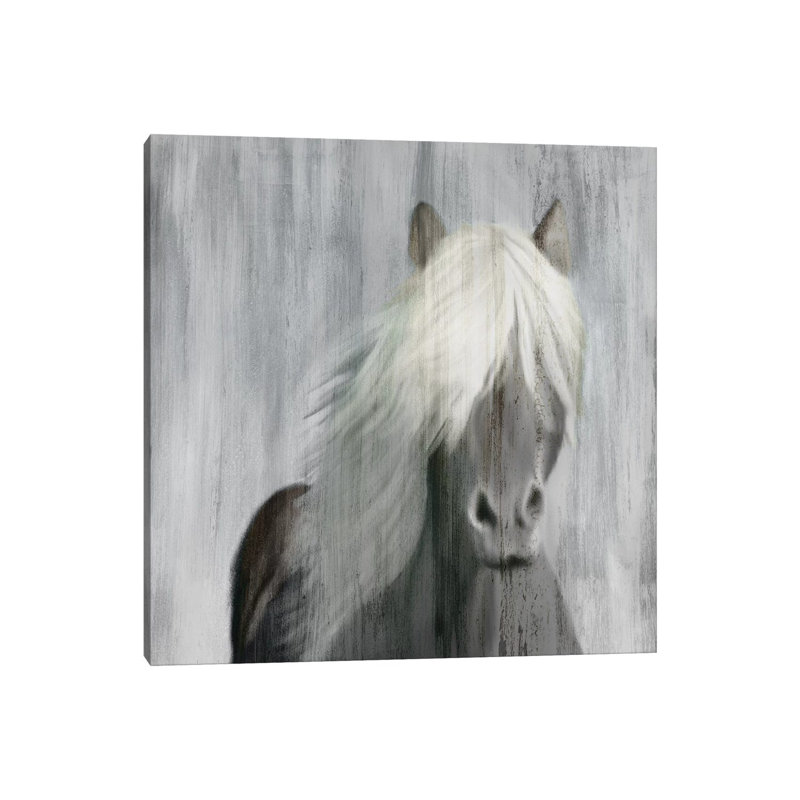 White Mane by Kimberly Allen - Wrapped Canvas Gallery-Wrapped Canvas Giclée, 45.72 cm H x 45.72 cm W