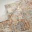 Dmoni Floral Area Rug in Rust-2115609826