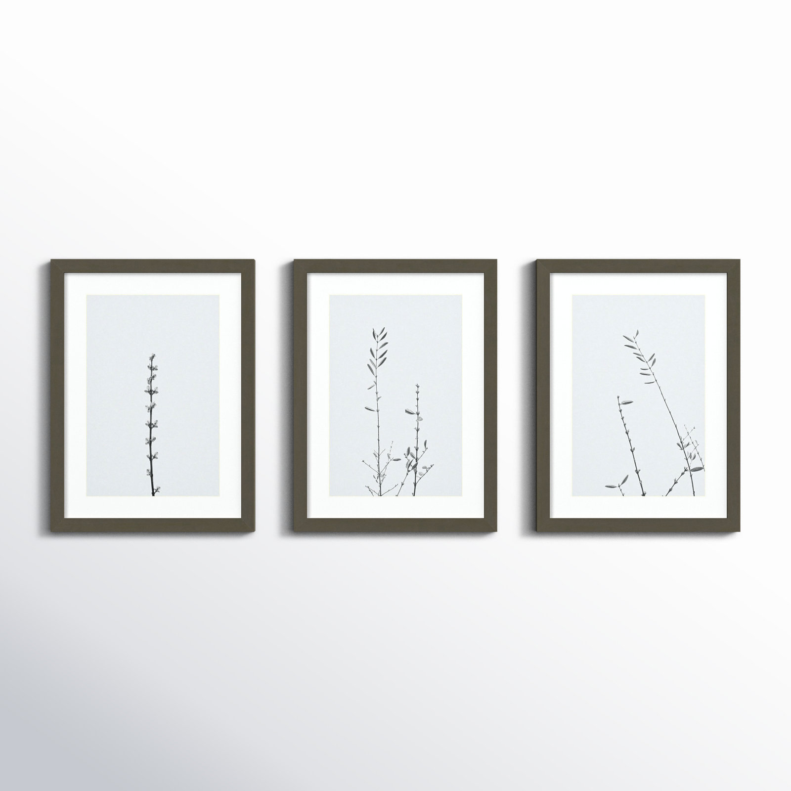 Retro Tennessee Botanical Prints by Adela - 3 Piece Single Picture Frame Photograph Set, 17" H x 43" W x 1" D, Gray