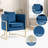 Velvet Modern Barrel Accent Chair with Pillow-692414171
