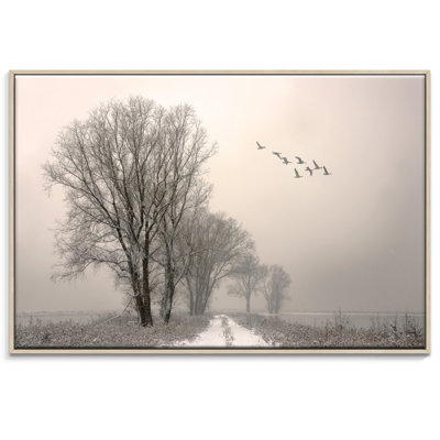 Print on Canvas