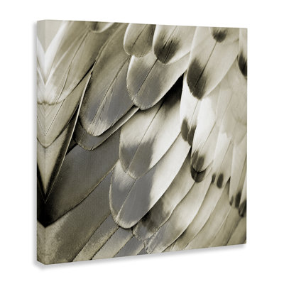 Art mural sur toile Sleek Feathers Gros plan par Julia Bosco