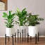 Azahel Plant Stand - Set of 2