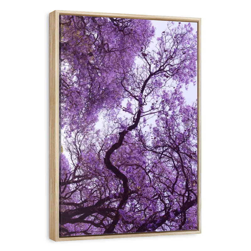 Under Jacaranda Tree, 21" x 31", Floating Frame Natural Wood