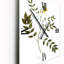 Vintage Botanicals XVIII - Horloge murale traditionnelle-1770829870