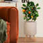 Concrete Effect Cylinder Round Planter on Hardwood Legs, Round Indoor Plant Pot Stand for Indoor Plants, Indoor Flower Pot with Plaited Pattern-703551397-703551392