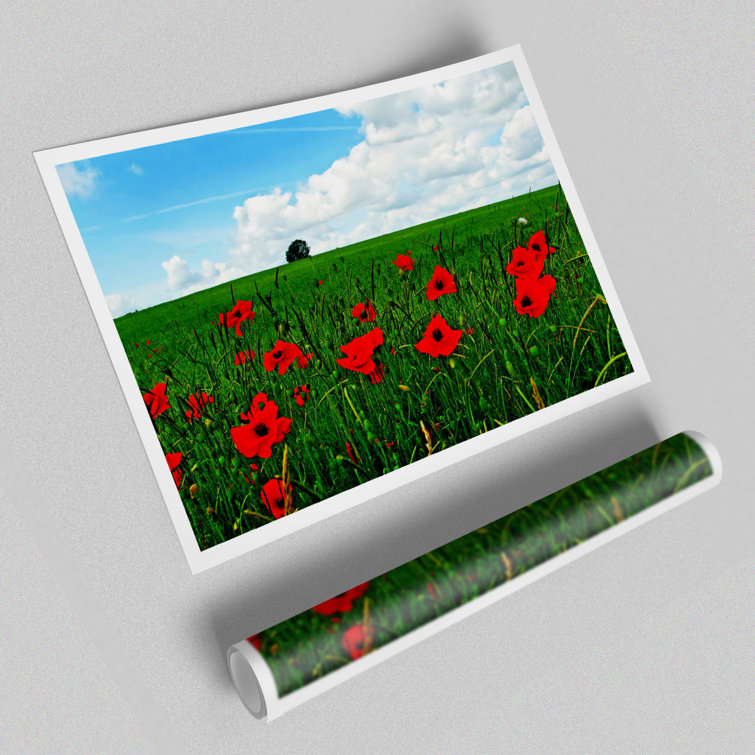 Poppy Fields On A Cloudy Day Flowers - No Frame Print
